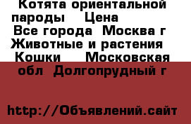 Котята ориентальной пароды  › Цена ­ 12 000 - Все города, Москва г. Животные и растения » Кошки   . Московская обл.,Долгопрудный г.